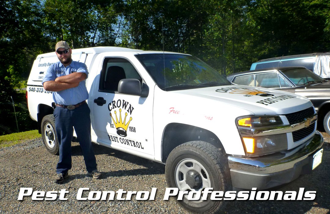 Crown Pest Online Exterminators Termite and Pest Control